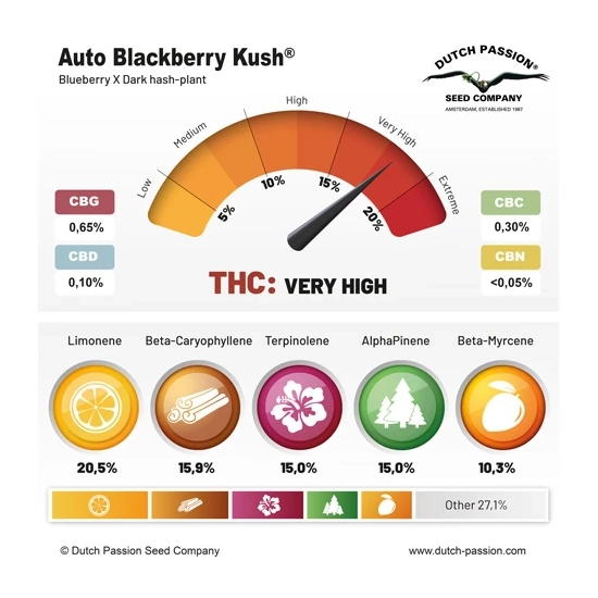 Auto Blackberry Kush®
